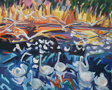 Seagulls flying in the sunset, Denmark